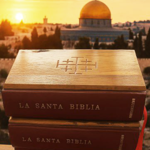 Biblia con Pasta de Olivo